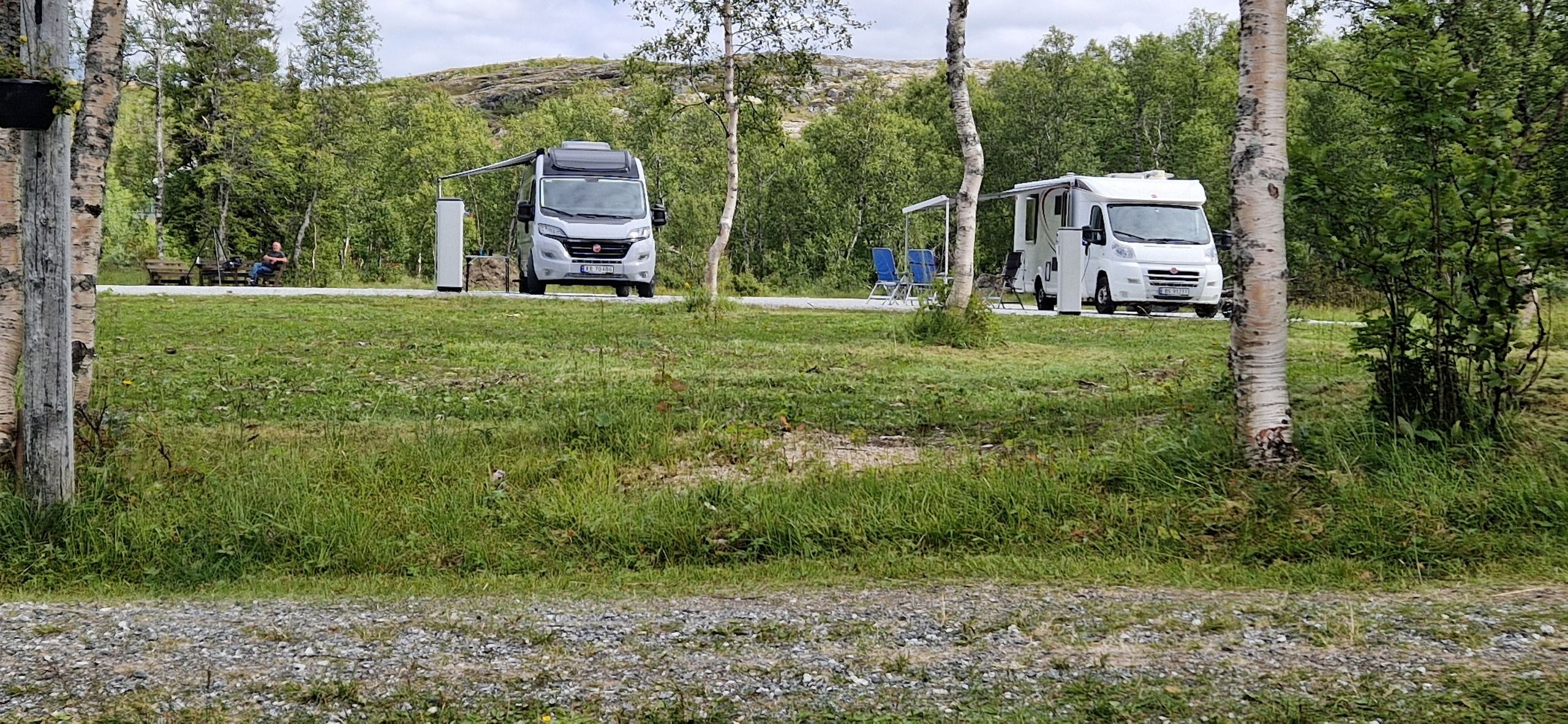 Bobiler mellom bjørketrærne på campingplassen