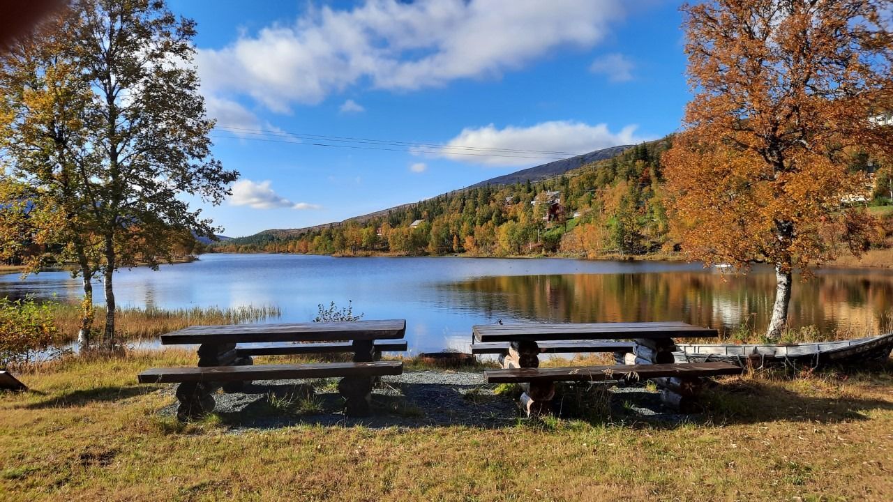 Høstfarger ved Lisskorovatnet