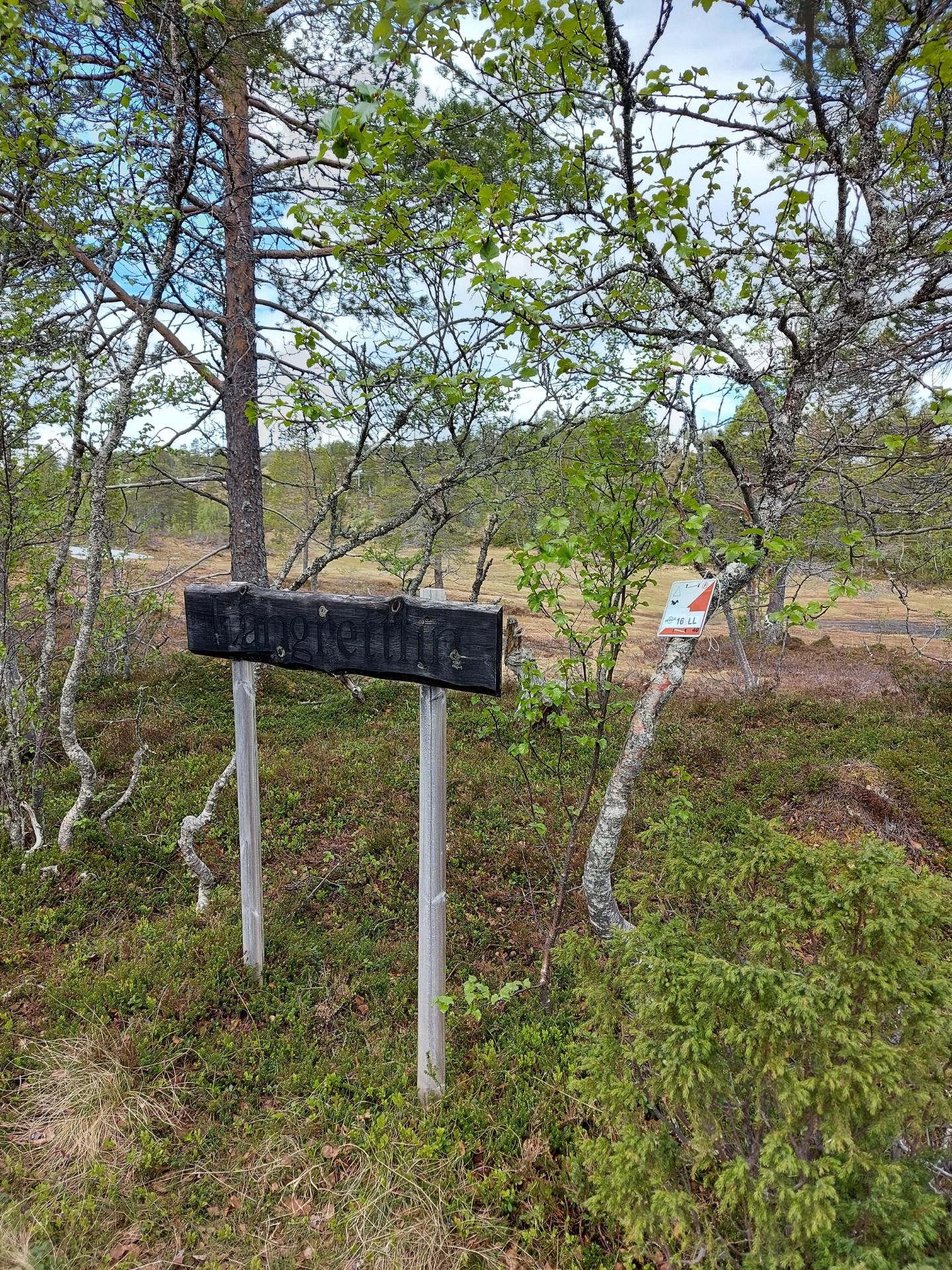 Informasjon om Trim og Trivsel i Skorovas