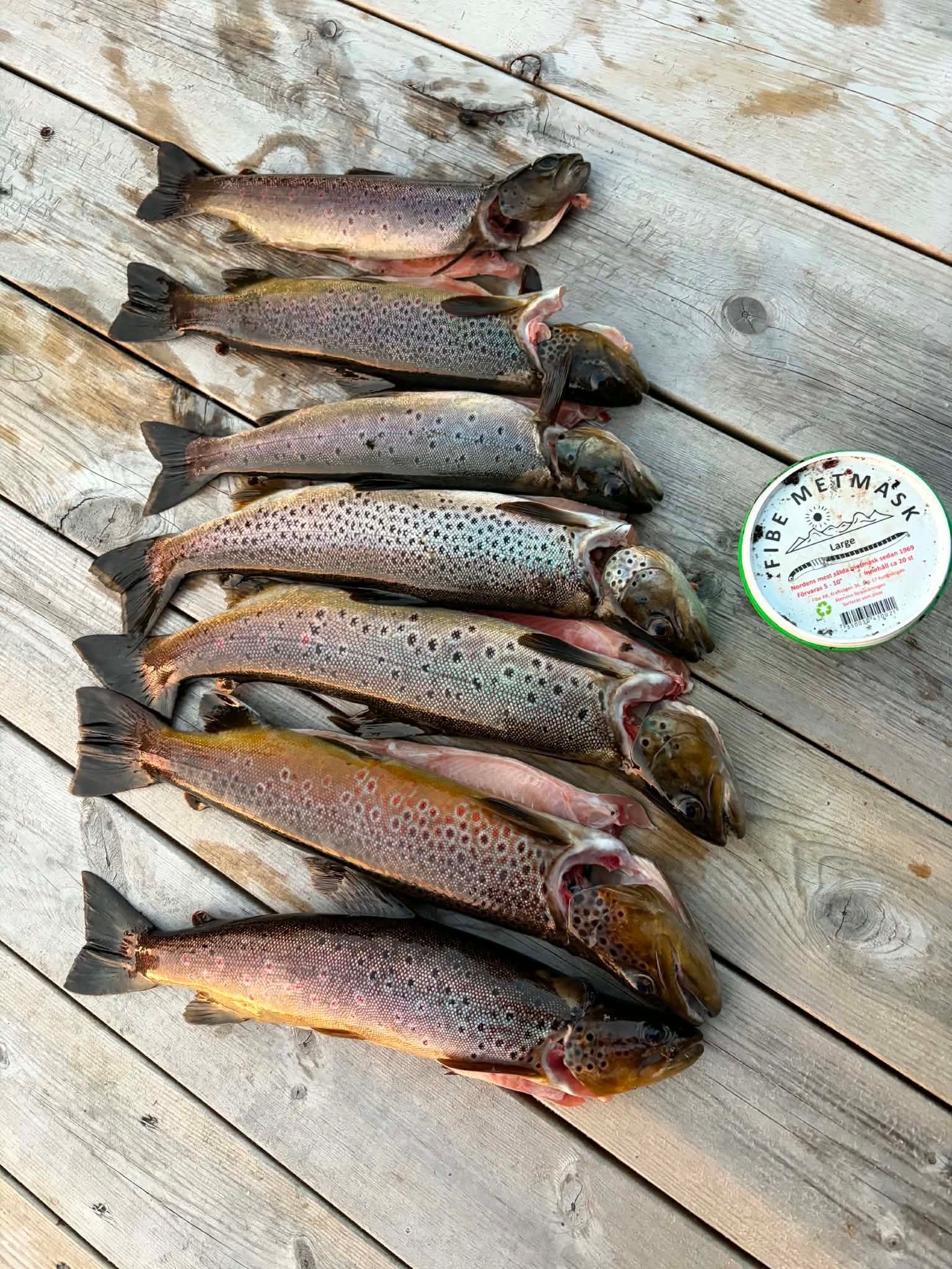 Ørretfangst og fiskeutstyr