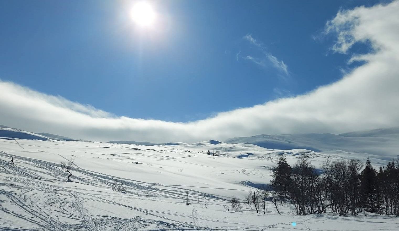 Sol over vinterlandskapet